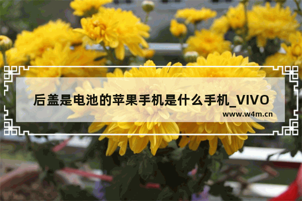 后盖是电池的苹果手机是什么手机_VIVOy9s的电池可以取出来吗