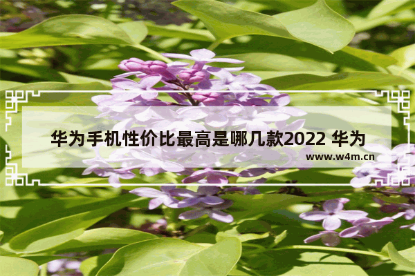 华为手机性价比最高是哪几款2022 华为手机推荐性价比高 经济实惠