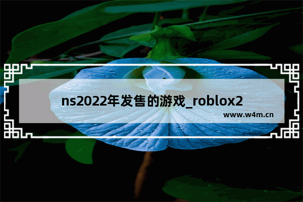 ns2022年发售的游戏_roblox2022什么时候上线