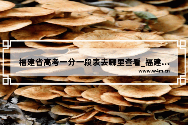 福建省高考一分一段表去哪里查看_福建高考一分一段表怎么看