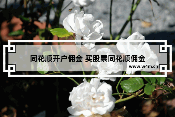 同花顺开户佣金 买股票同花顺佣金