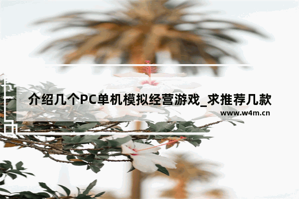 介绍几个PC单机模拟经营游戏_求推荐几款psp好玩的模拟经营类汉化游戏~~