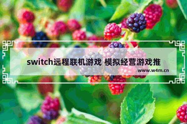 switch远程联机游戏 模拟经营游戏推荐联机