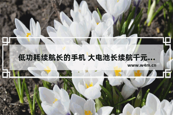 低功耗续航长的手机 大电池长续航千元手机推荐哪款