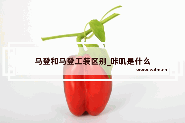 马登和马登工装区别_咔叽是什么