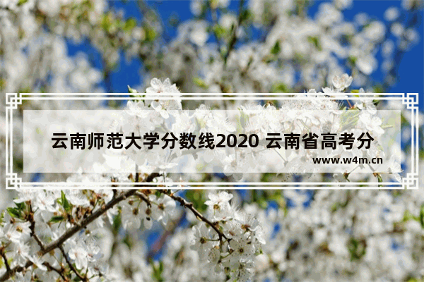 云南师范大学分数线2020 云南省高考分数线2020