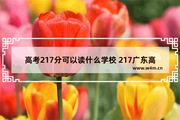 高考217分可以读什么学校 217广东高职高考分数线