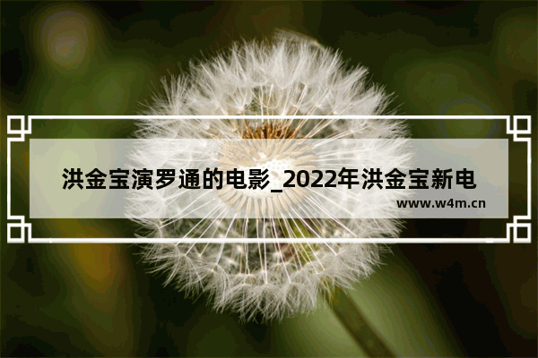 洪金宝演罗通的电影_2022年洪金宝新电影