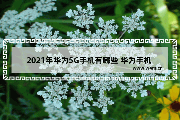 2021年华为5G手机有哪些 华为手机 5g手机推荐