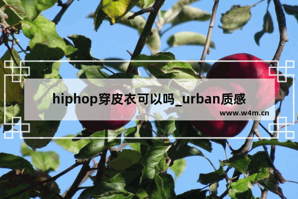 hiphop穿皮衣可以吗_urban质感怎么练