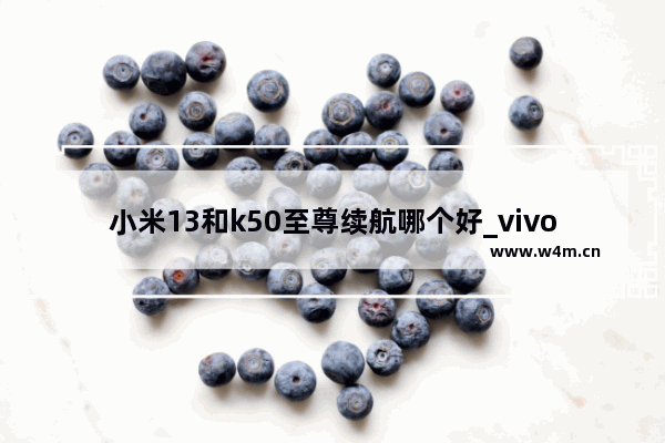 小米13和k50至尊续航哪个好_vivo长续航手机排行