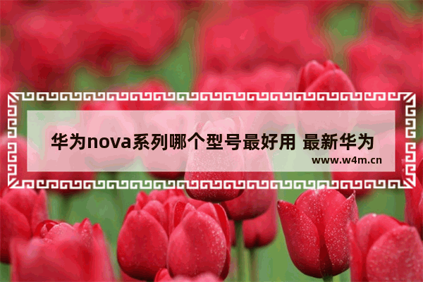 华为nova系列哪个型号最好用 最新华为5g手机推荐哪款