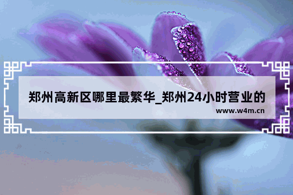 郑州高新区哪里最繁华_郑州24小时营业的餐厅