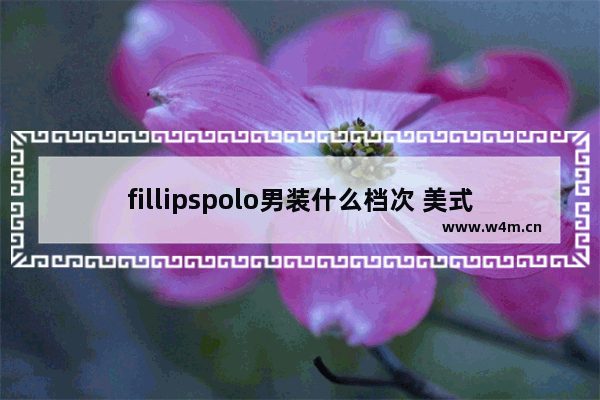 fillipspolo男装什么档次 美式穿搭男黑