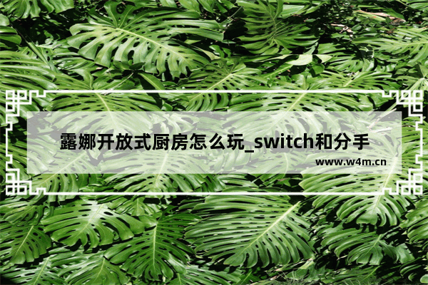 露娜开放式厨房怎么玩_switch和分手厨房类似的游戏