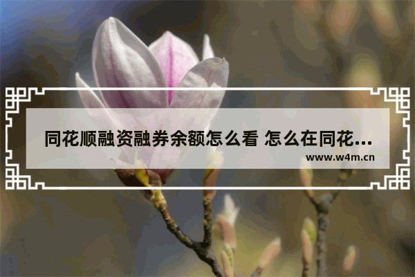 同花顺融资融券余额怎么看 怎么在同花顺加杠杆买股票