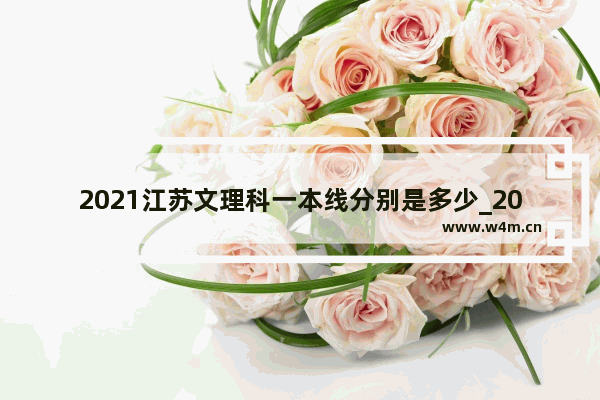 2021江苏文理科一本线分别是多少_2021江苏高考211分数线