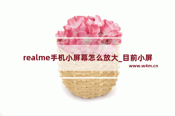 realme手机小屏幕怎么放大_目前小屏幕手机推荐哪款好