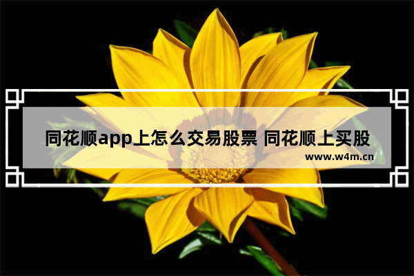 同花顺app上怎么交易股票 同花顺上买股票步骤