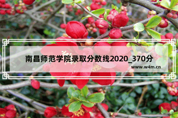 南昌师范学院录取分数线2020_370分能上江西什么大专院校