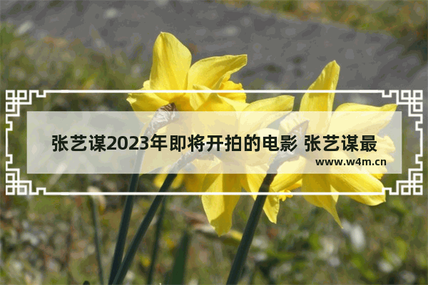 张艺谋2023年即将开拍的电影 张艺谋最新电影有什么电影好看推荐