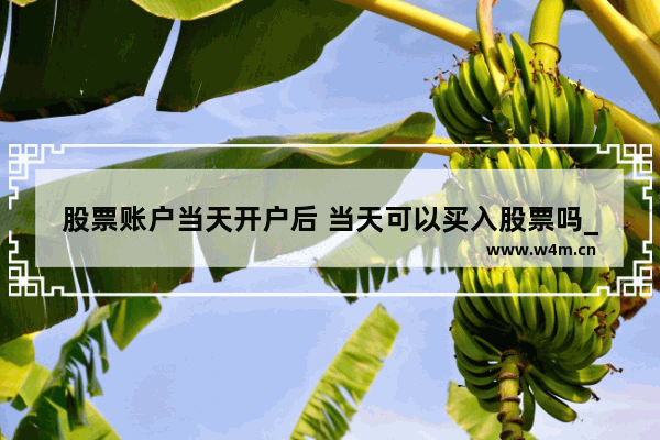 股票账户当天开户后 当天可以买入股票吗_开户后多久可以交易股票