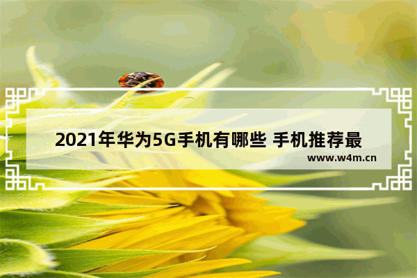 2021年华为5G手机有哪些 手机推荐最新华为手机型号有哪些