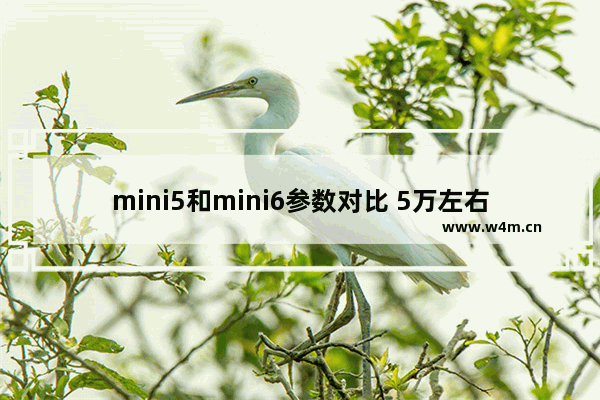 mini5和mini6参数对比 5万左右新车推荐迷你车型有哪些车呢