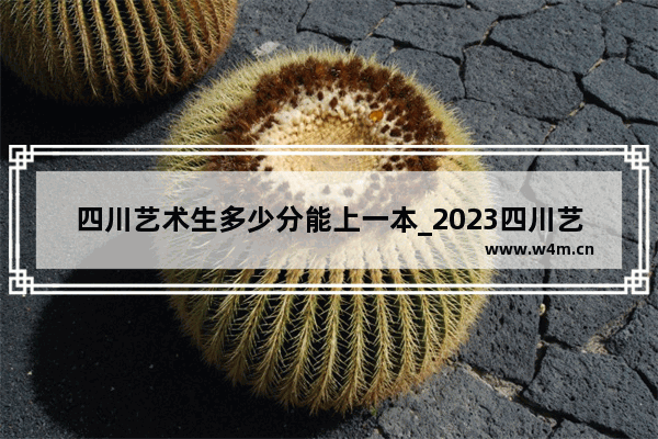 四川艺术生多少分能上一本_2023四川艺体生分数怎么算