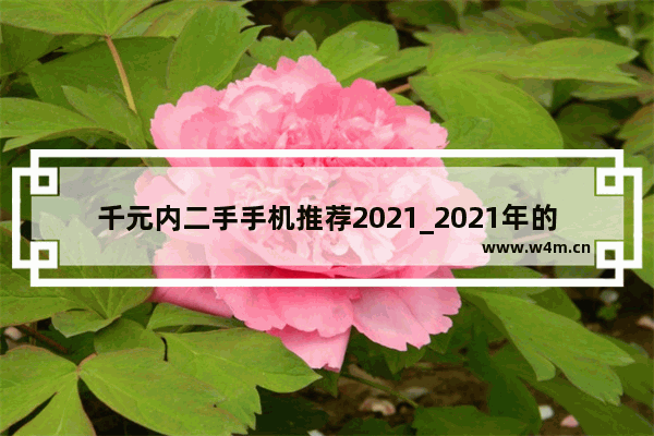 千元内二手手机推荐2021_2021年的千元左右华为手机