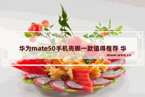 华为mate50手机壳哪一款值得推荐 华为手机推荐手机壳