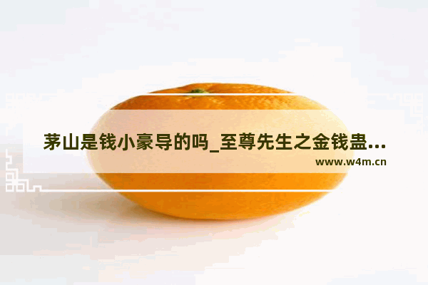 茅山是钱小豪导的吗_至尊先生之金钱蛊是林正英徒弟的电影吗