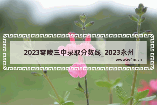 2023零陵三中录取分数线_2023永州一中678班一模成绩分数线