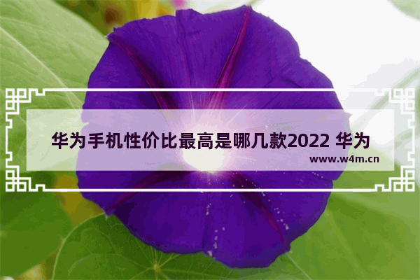 华为手机性价比最高是哪几款2022 华为手机手机推荐