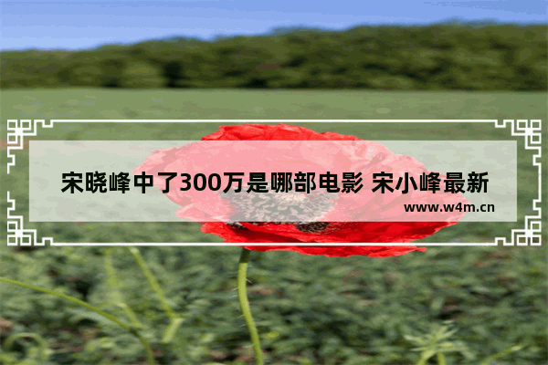 宋晓峰中了300万是哪部电影 宋小峰最新电影让我过过瘾