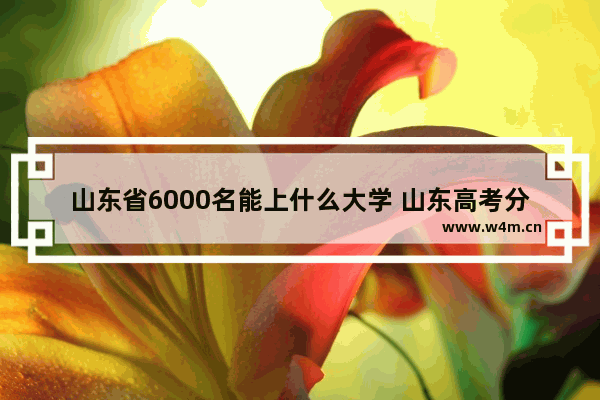 山东省6000名能上什么大学 山东高考分数线位次八万名