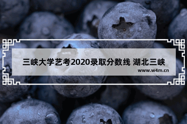 三峡大学艺考2020录取分数线 湖北三峡高考分数线