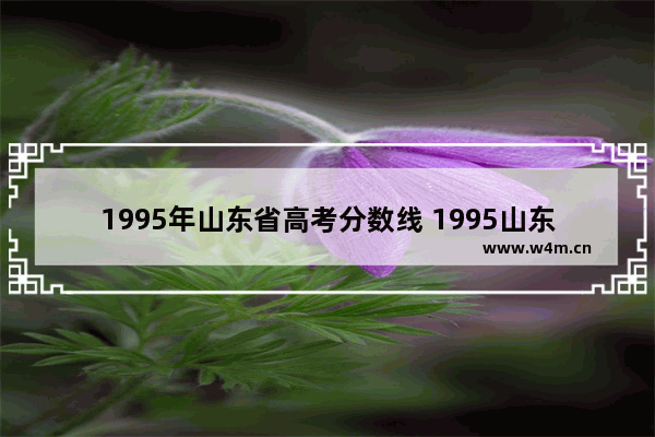 1995年山东省高考分数线 1995山东省高考分数线