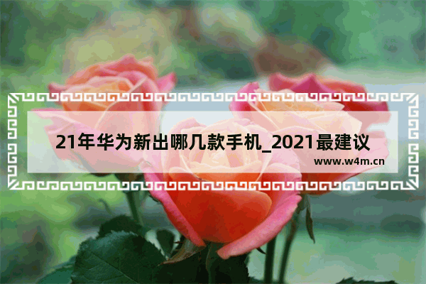 21年华为新出哪几款手机_2021最建议买的三款手机华为