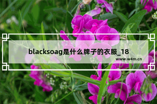 blacksoag是什么牌子的衣服_183微胖穿什么衣服