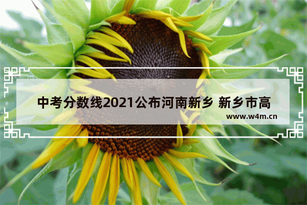 中考分数线2021公布河南新乡 新乡市高考分数线2021