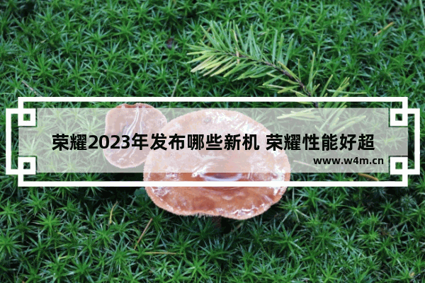 荣耀2023年发布哪些新机 荣耀性能好超长续航手机推荐