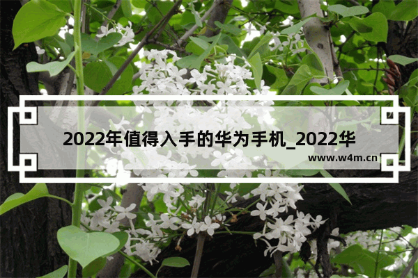 2022年值得入手的华为手机_2022华为性价比最高的手机