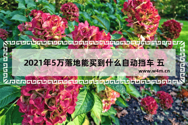 2021年5万落地能买到什么自动挡车 五万落地车自动挡新车推荐哪款