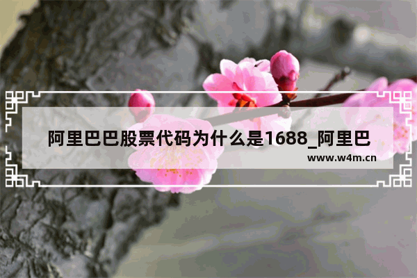 阿里巴巴股票代码为什么是1688_阿里巴巴是什么股