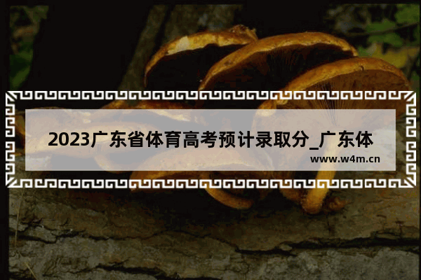 2023广东省体育高考预计录取分_广东体育生综合成绩多少分可以上本科