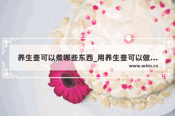 养生壶可以煮哪些东西_用养生壶可以做白菊花吗