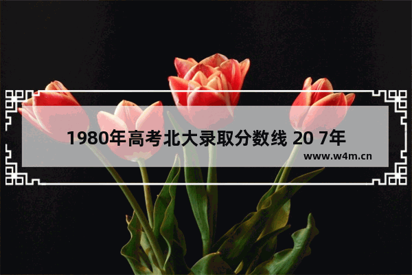 1980年高考北大录取分数线 20 7年北京高考分数线