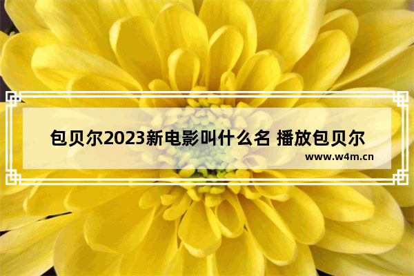 包贝尔2023新电影叫什么名 播放包贝尔最新电影叫什么