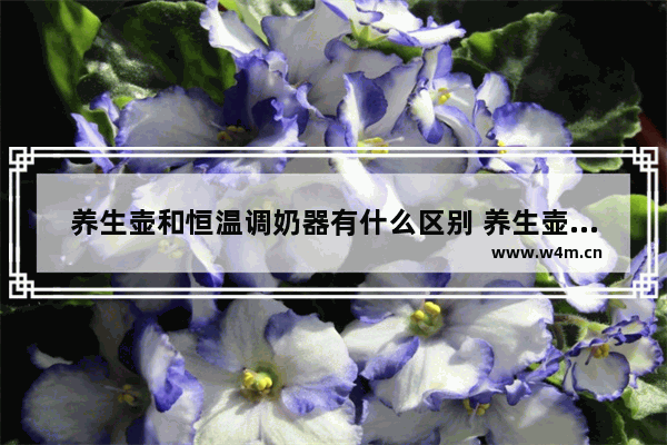 养生壶和恒温调奶器有什么区别 养生壶和恒温壶哪个质量好点